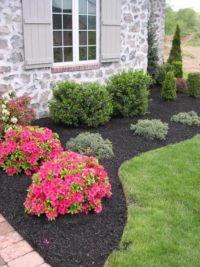 Color Pop Flowers with Evergreen Border