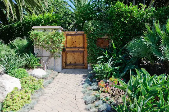 Tropical Concept Front Yard Landscaping