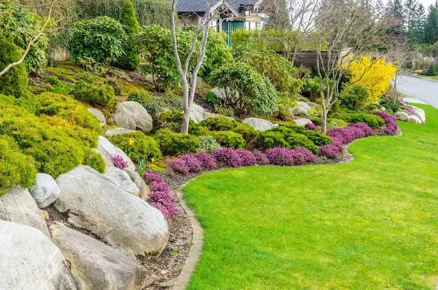 Big Stones and Trees - front yard landscaping