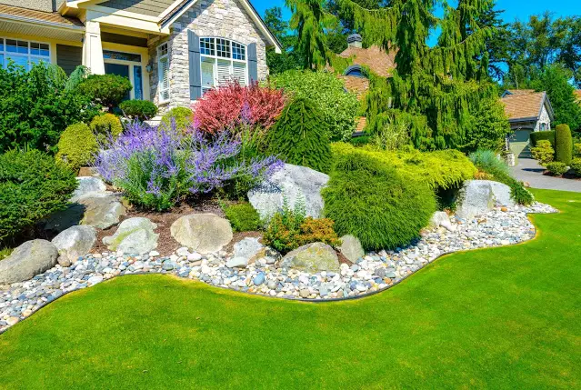 Pink and Purple Barberries - Frontyard landscaping