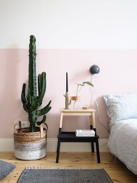 Outstanding Bedroom Cactus Plant