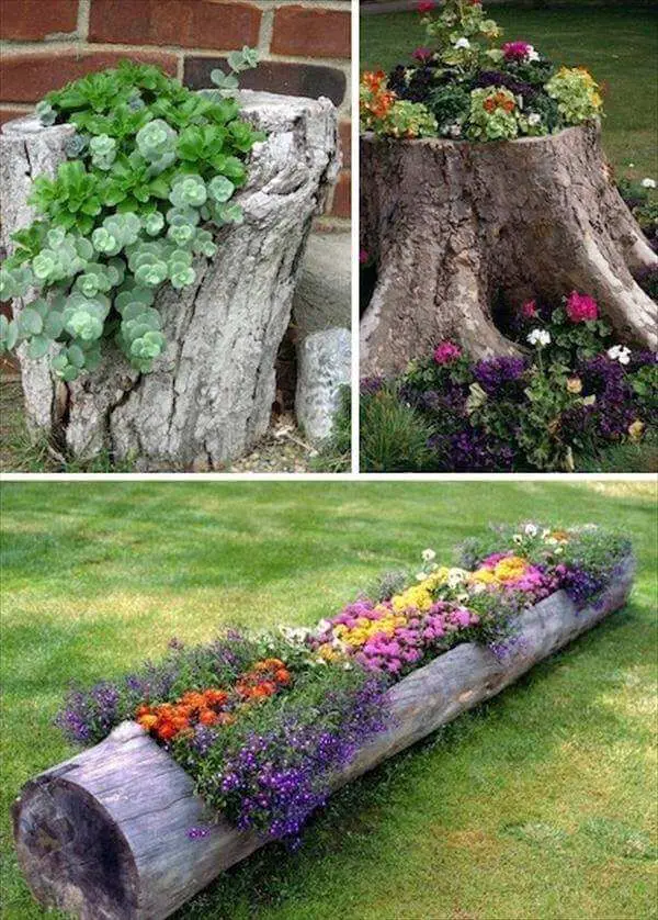 tree trunk flower bed