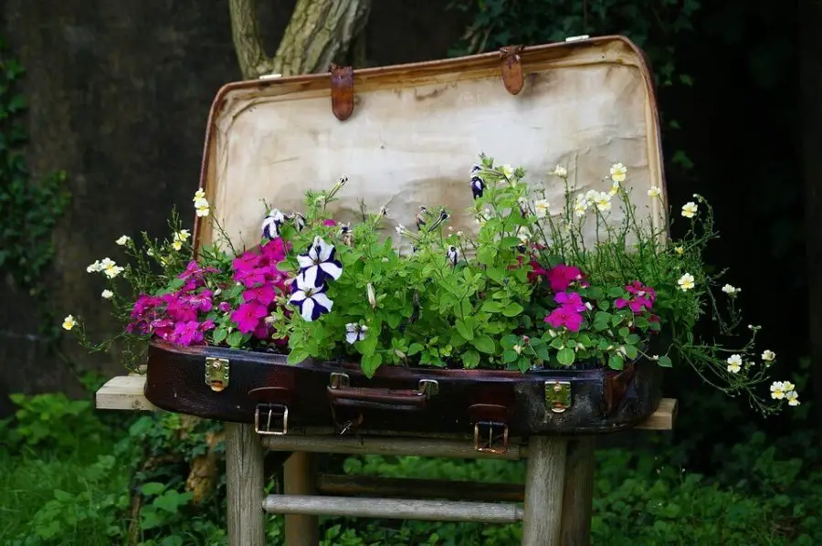 Vintage Suitcase Flower Bed