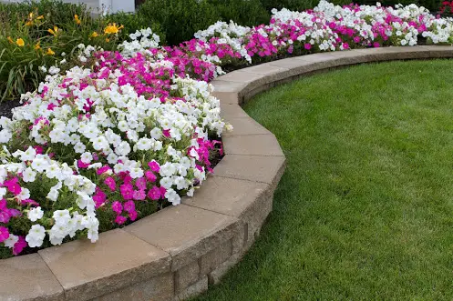 Sidewalk Flower Bed Ideas