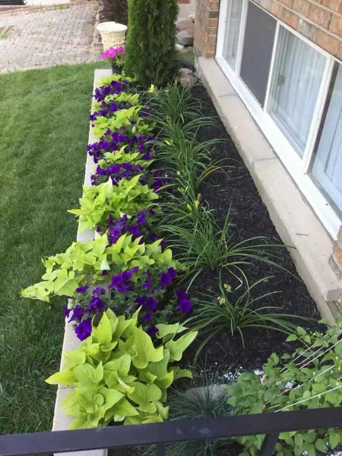 Front Side Window Flower Bed