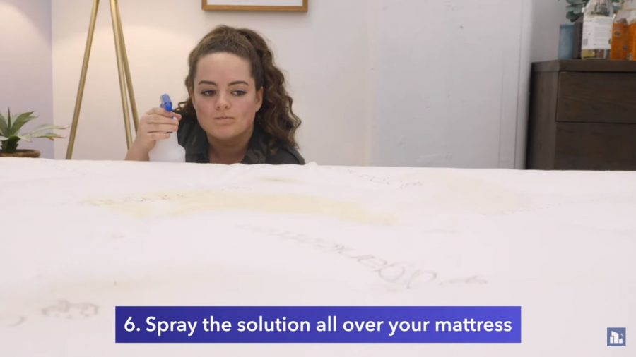 spray the bed with solution