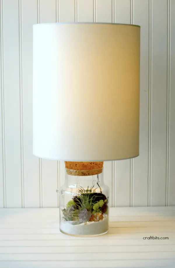 DIY Terrarium Lamp