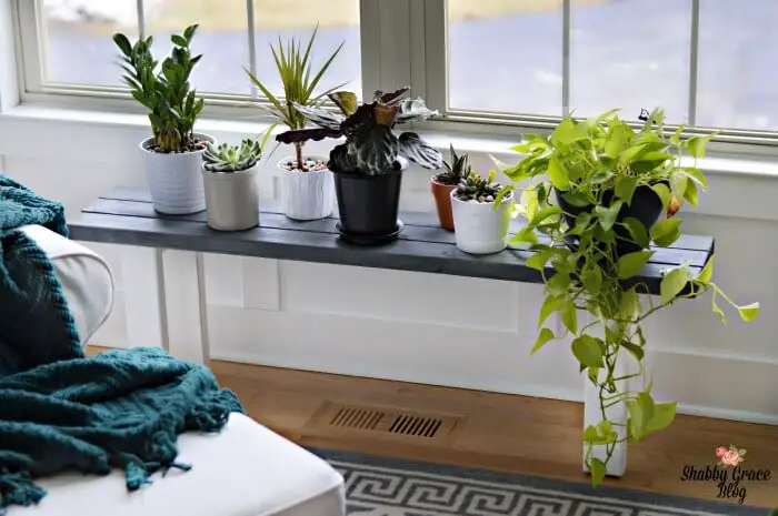 Easy DIY Plant Stand