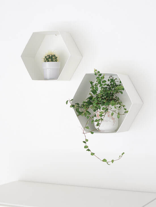 Hexagon Wall Shelves