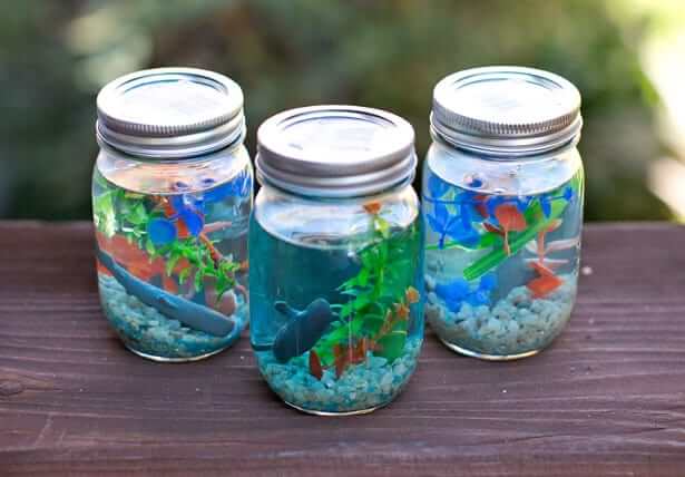 Mason Jar Aquarium