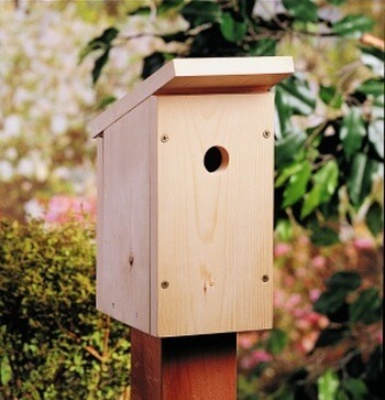 Scrap Wood Birdhouse