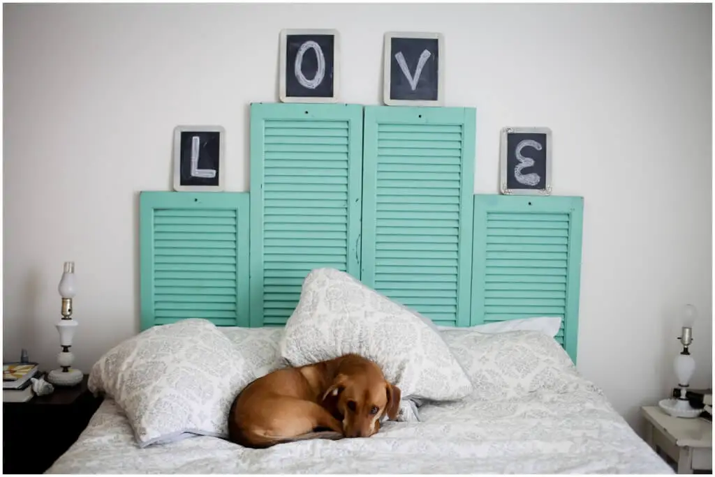 DIY Headboard from vintage shutter