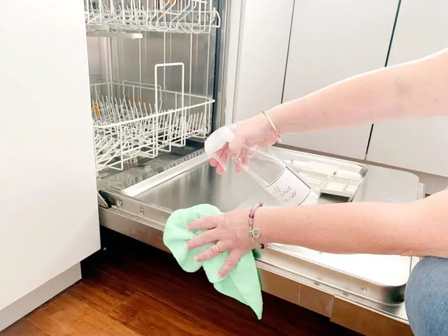 Washing the Pieces dishwasher