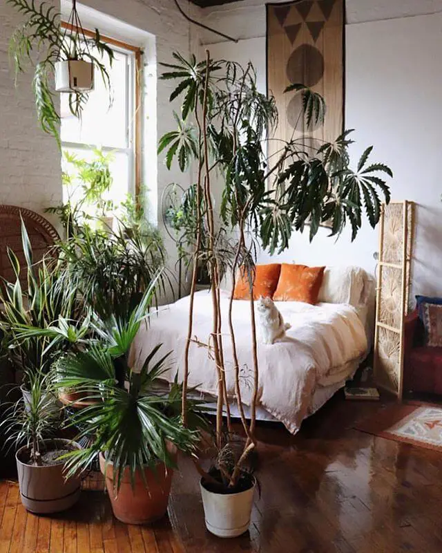 Welcome to the Jungle - Boho Style Bedroom