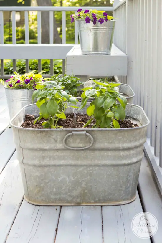 bucket deck garden