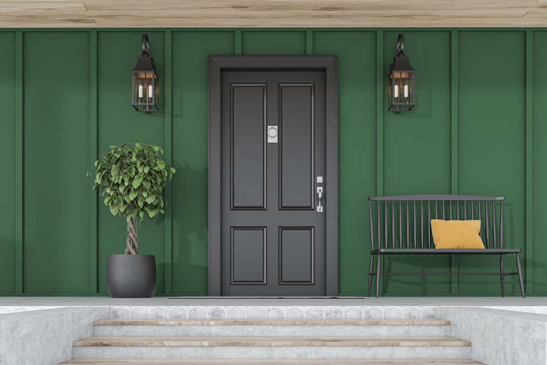 The Elegant Midnight Black Door for Green House