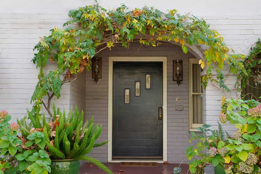 Front Porch with Foliage Arch