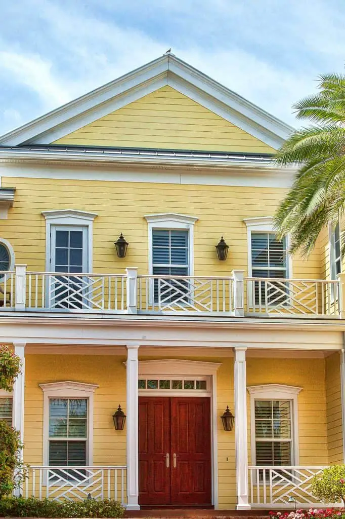 Natural Brown Wood front door