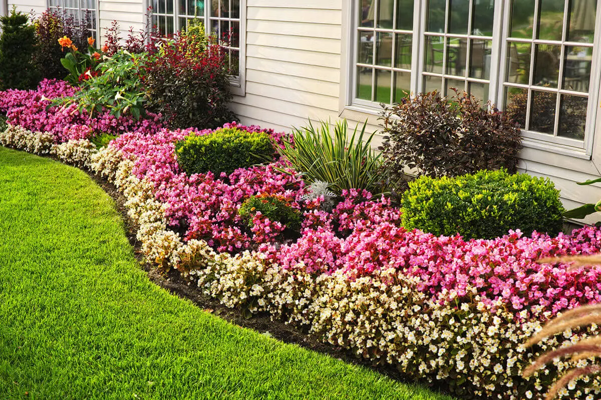 Perennial Flower Bed for The Summer