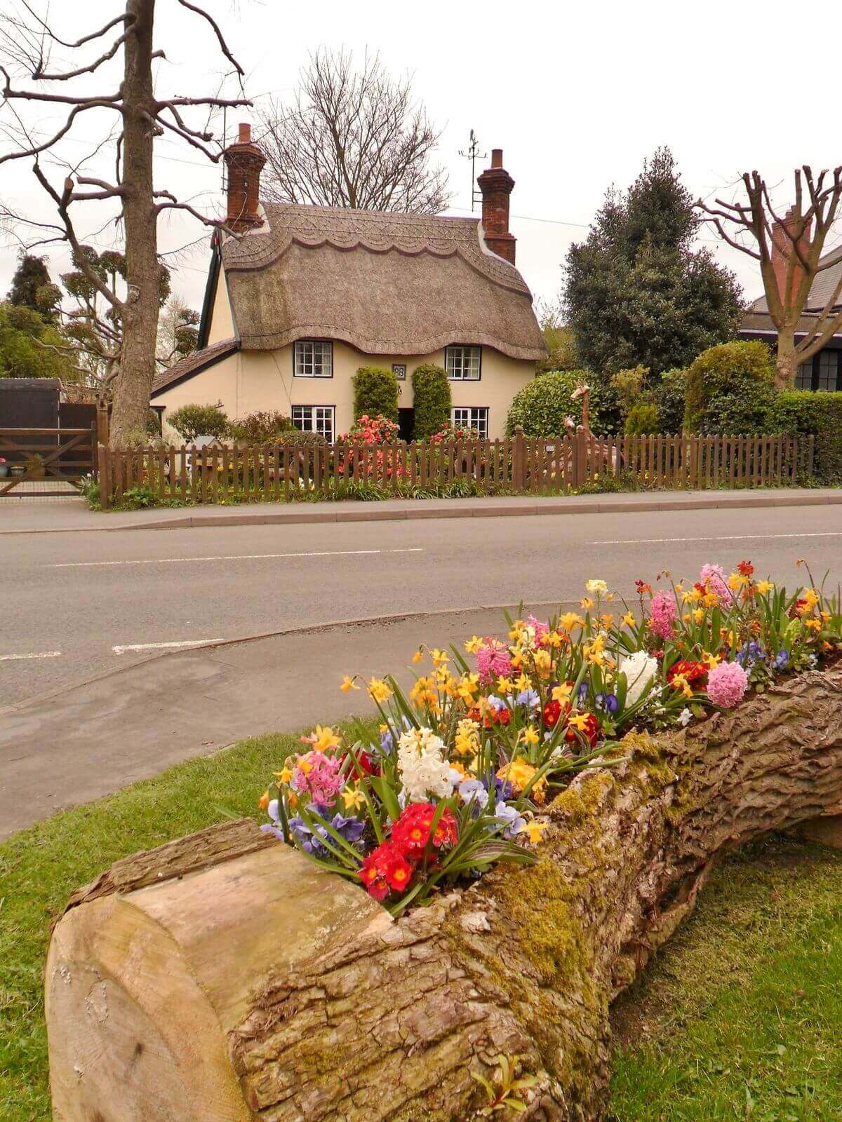 Rustic Hollow Log Flower Bed