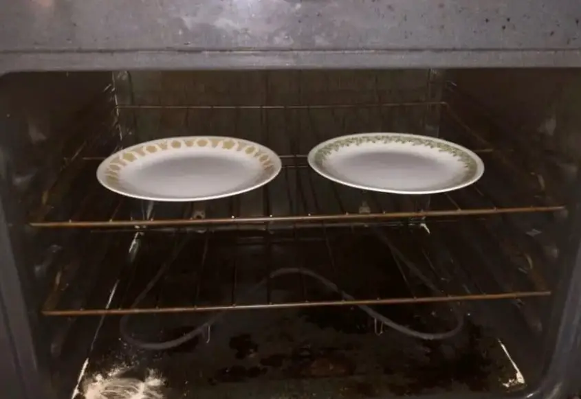 Can You Put A Plate In The Oven? 