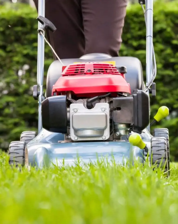 Can you put car oil in the lawn mower?