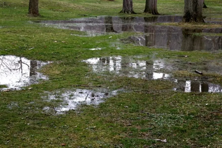 how to soak up water in backyard