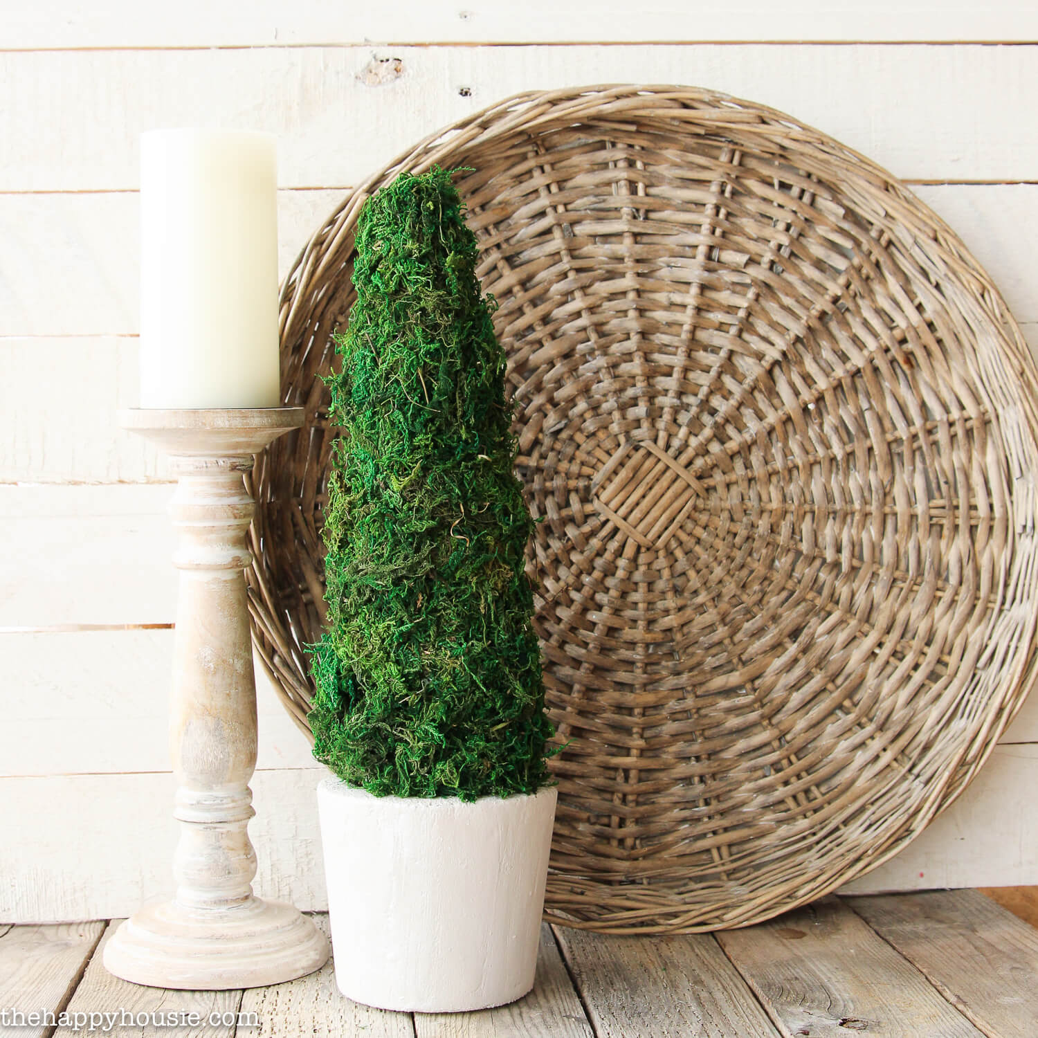 DIY Moss Topiary from a Make it Fun Foam Block