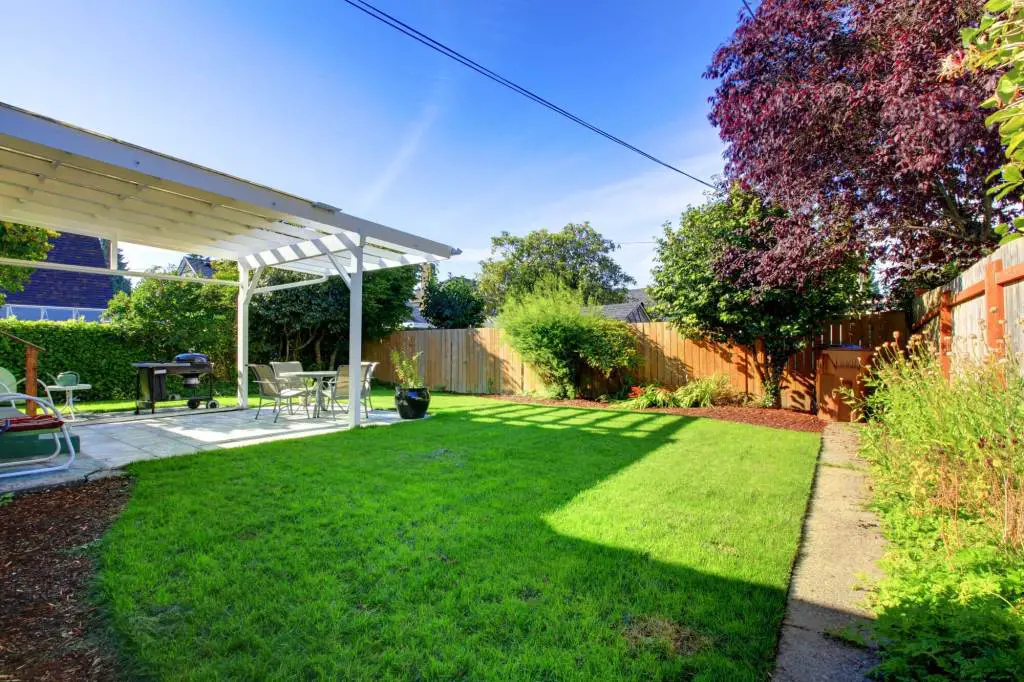 Clean and Green Backyard