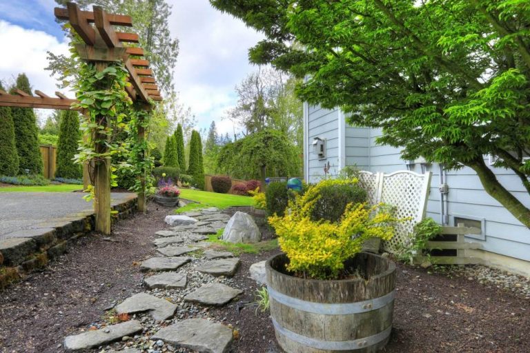 21 Beautiful Backyard Landscaping Ideas On A Budget