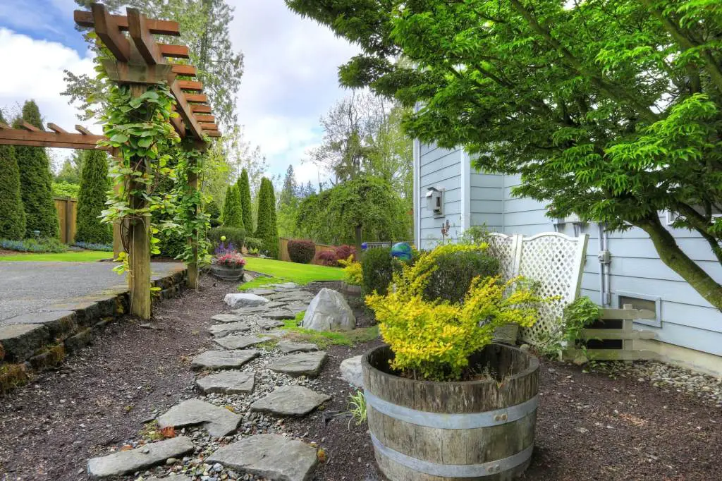 Simple Backyard Idea with Pergola