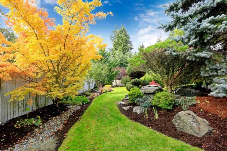 21 Beautiful Backyard Landscaping Ideas On A Budget