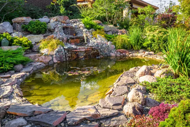 Natural Fish Ponds Full of Rocks