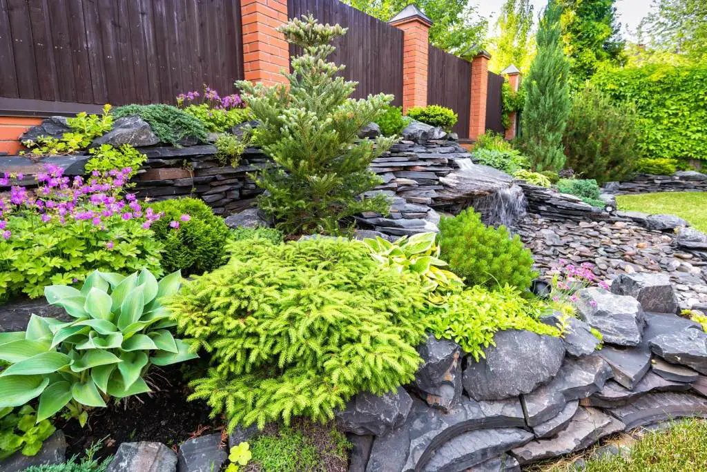 Rock Landscaping Idea