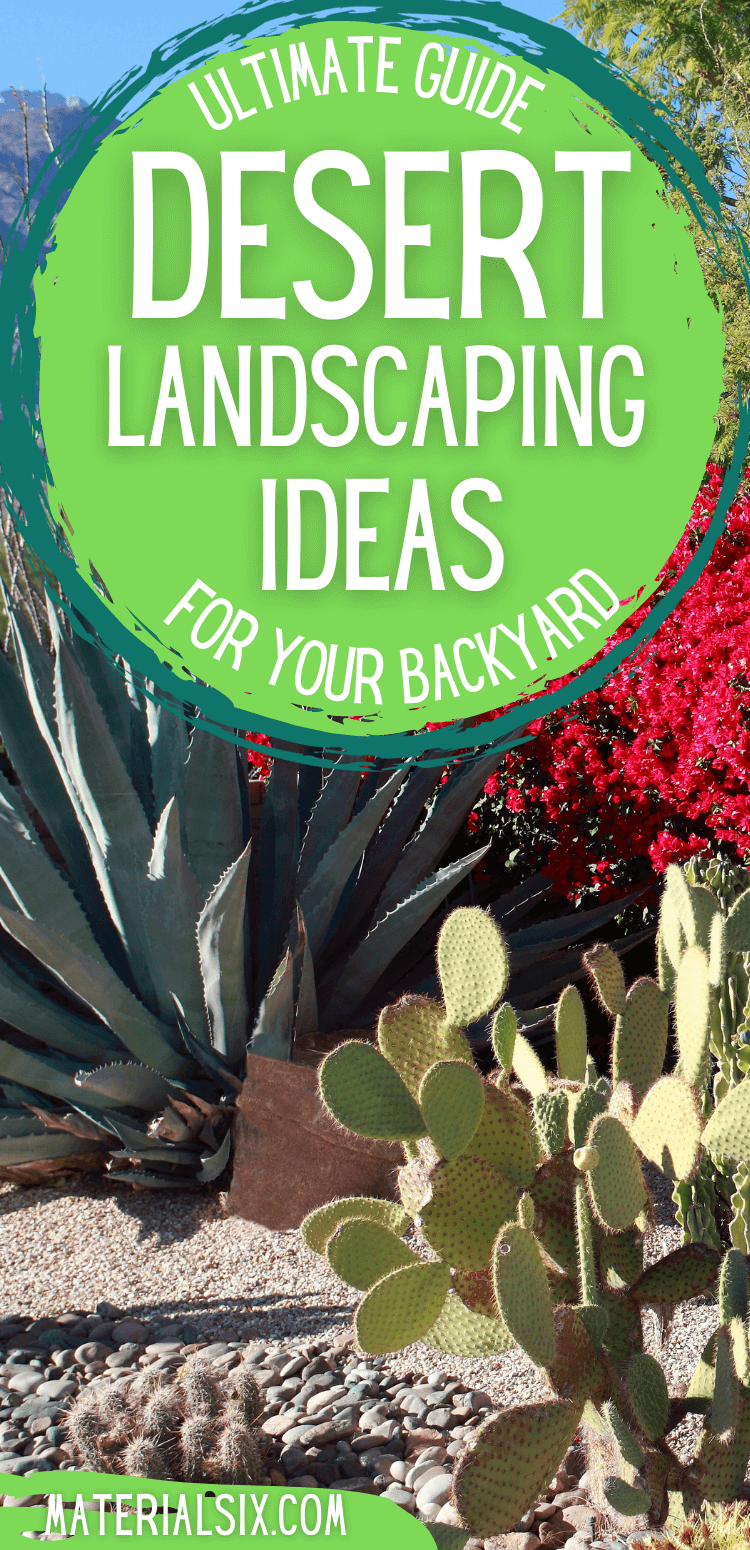 Desert Landscaping Ideas for Your Backyard