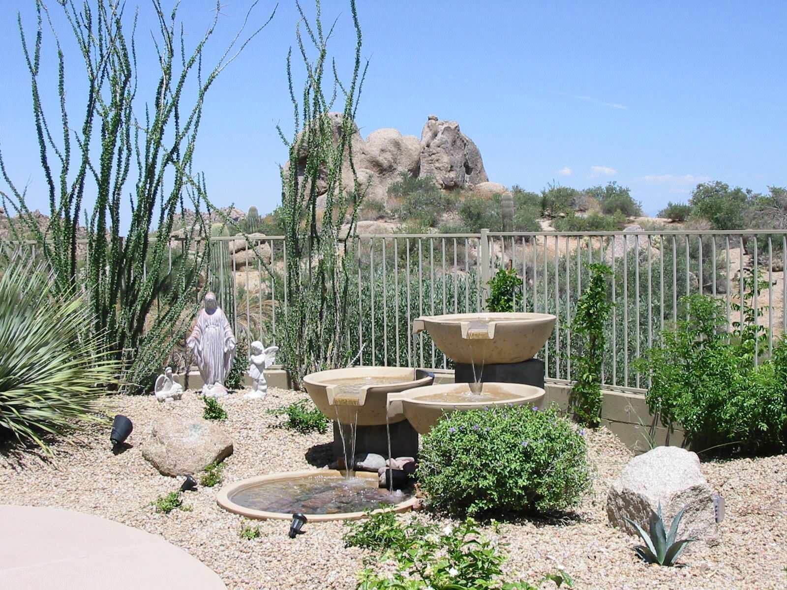 Oasis - Desert landscaping ideas