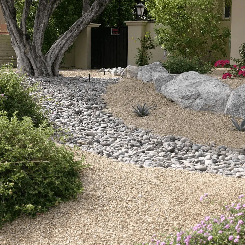 Pebble Pathways - Desert landscaping ideas