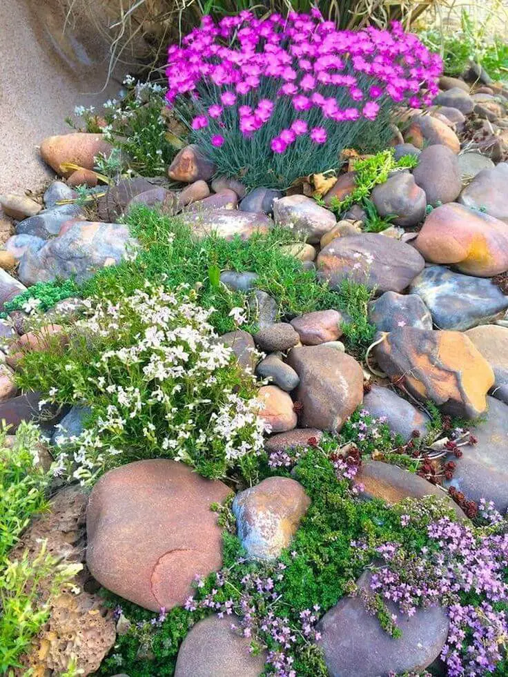 Rustic Rockeries - Desert landscaping ideas