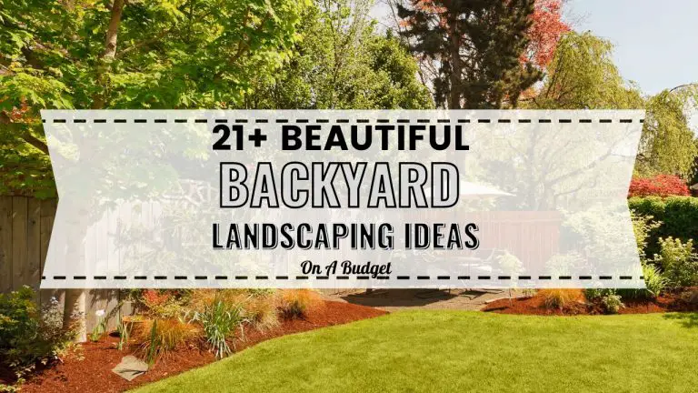 21 Beautiful Backyard Landscaping Ideas On A Budget