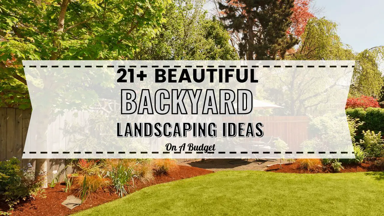 backyard landscaping ideas on a budget