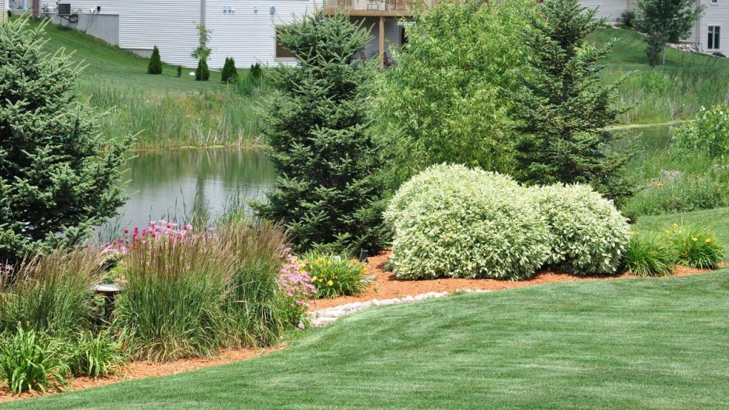 21 Beautiful Backyard Landscaping Ideas On A Budget
