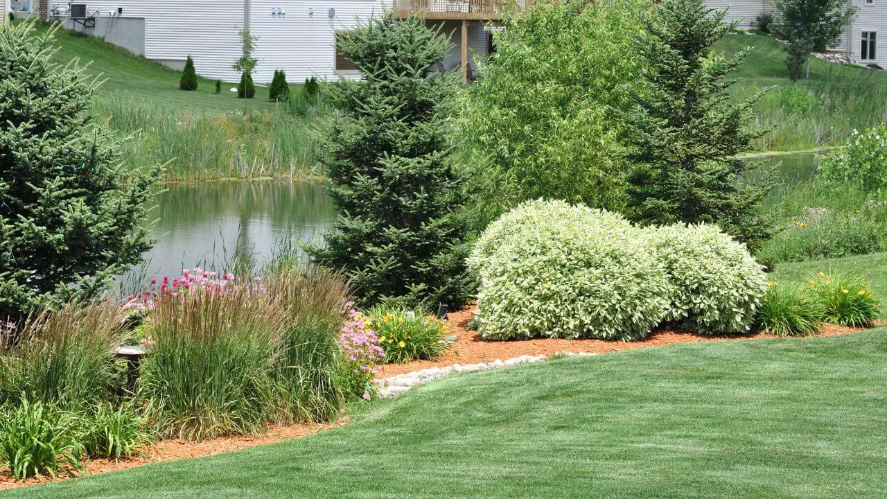 Backyard landscaping ideas along fence