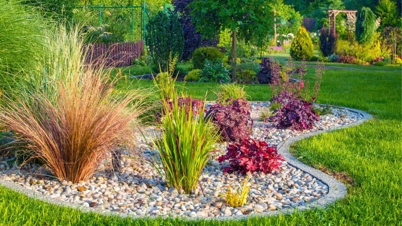 Backyard landscaping ideas no grass