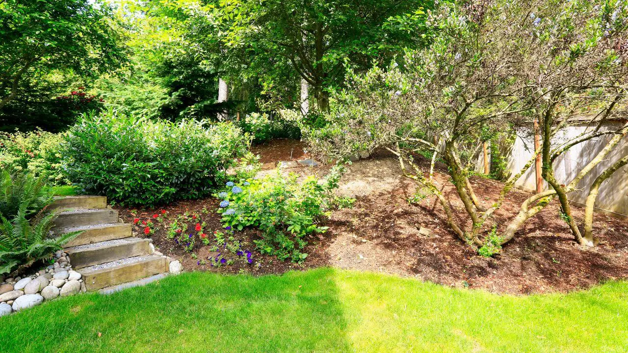 Simple backyard landscaping ideas