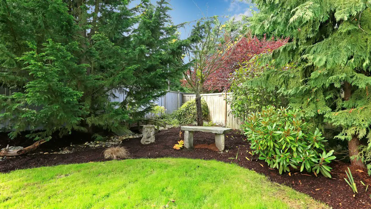 Backyard landscaping ideas on a budget