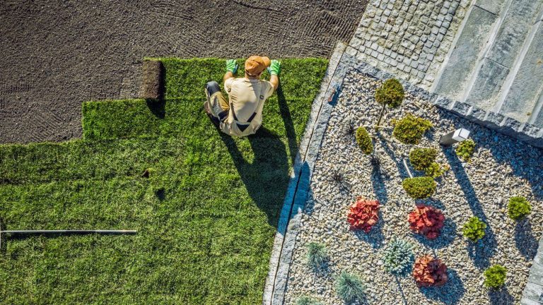 21 Beautiful Backyard Landscaping Ideas On A Budget