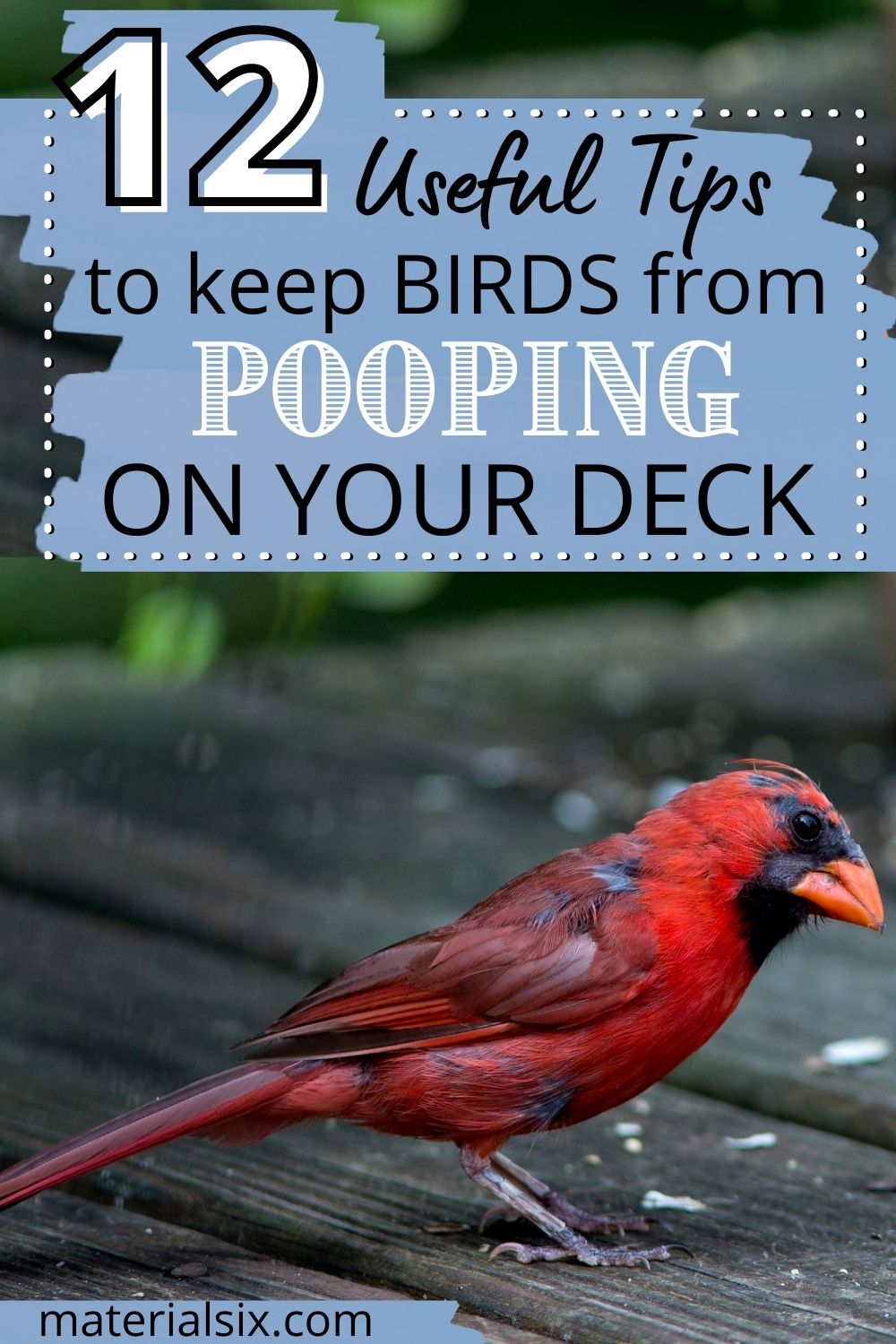 how to keep birds from pooping on my porch