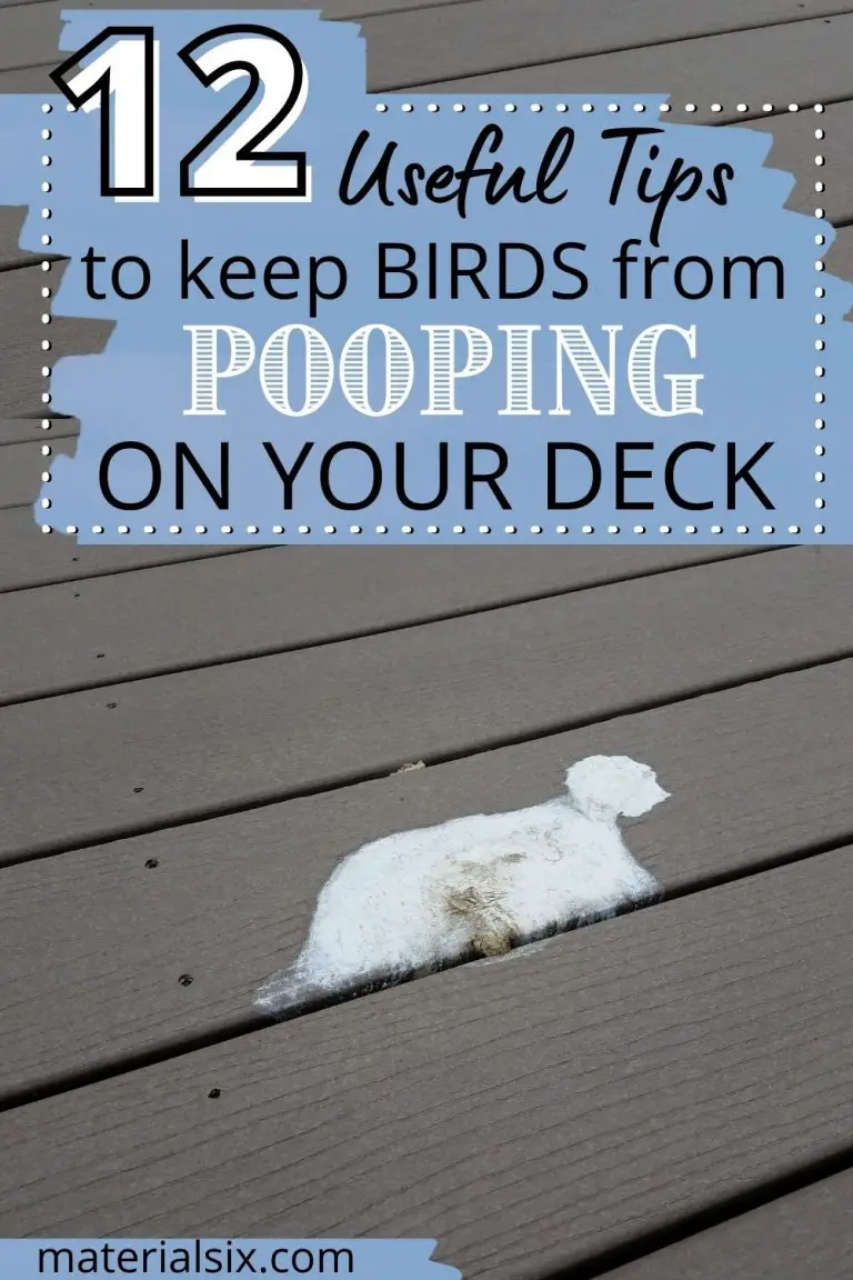 12 Useful Tips to Keep Birds from Pooping on Your Porch, Deck, Patio & Pool