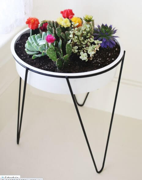 Vintage Cactus Planter Stand