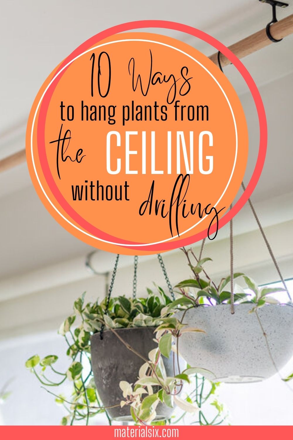 How to Hang Plants without Drilling a Hole in the Ceiling